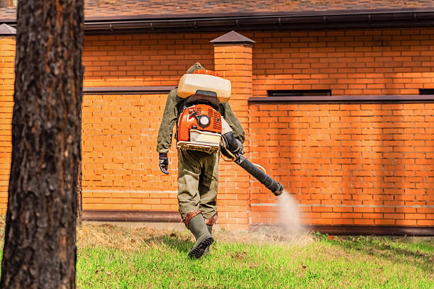Trusted Termite Control service in Whitesboro, AL - Nex Pest Control